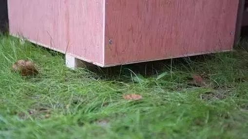 2019温暖继续！这是第七年CatS牌温暖冬屋，替猫咪们说感谢