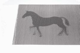 双11什么商品真正优惠,双11到底有哪些优惠