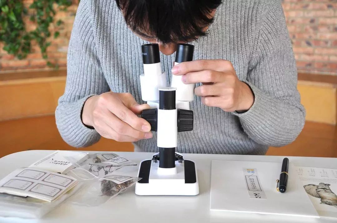 双11到底有什么优惠,双11到底哪些优惠