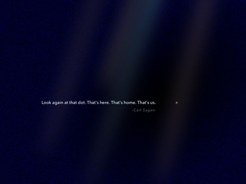 仿生人会梦见克莱因蓝吗,仿生人会梦见机器羊吗