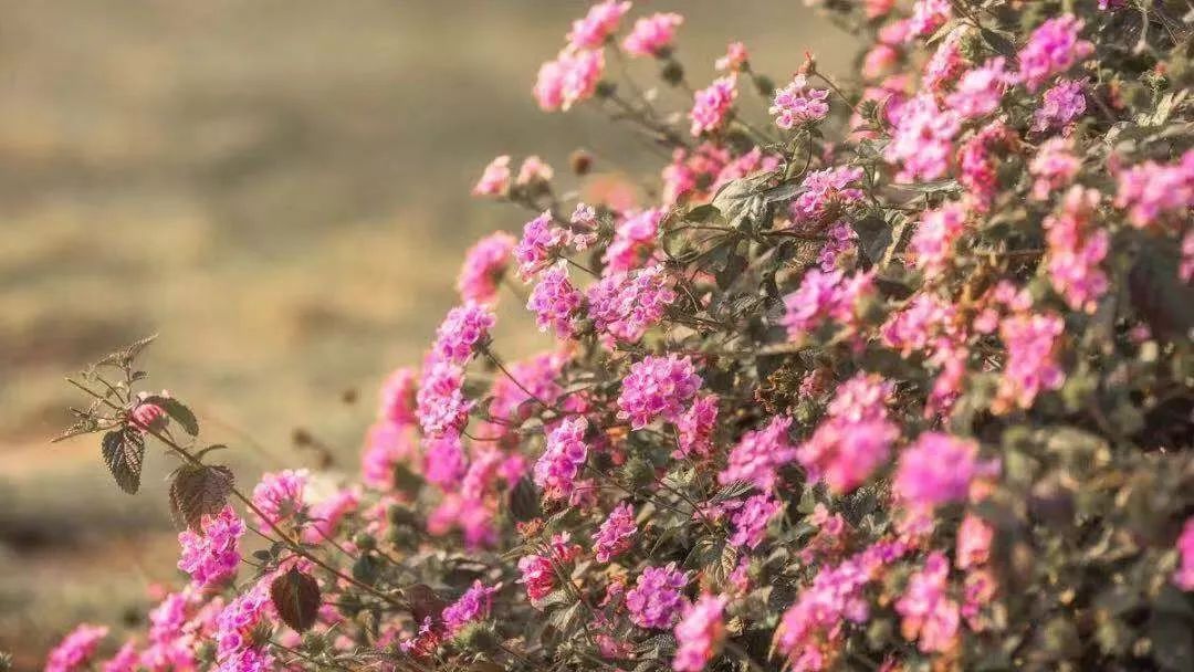 贺州旅游十大最佳景点推荐,广西贺州旅游必去十大景点排名