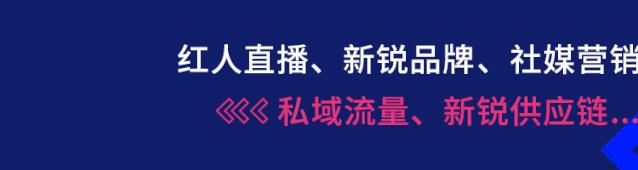 高浪：社媒KOL与跨境小众品牌的爆发