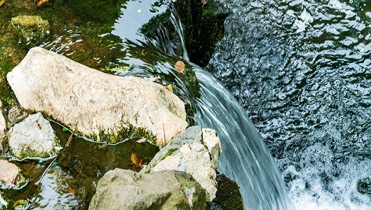 在著名的“阳光之州”，雀巢瓶装水或正导致当地泉水枯竭