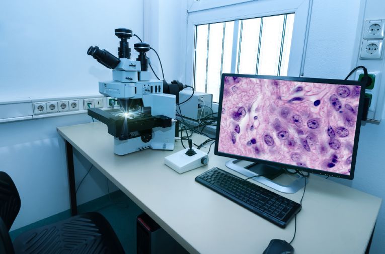 真香警告原图,x86架构支持哪些平台