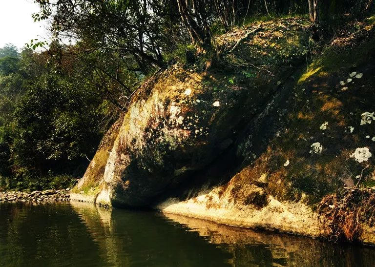 这条“藏在深闺人未识”的溪流,让你远离凡尘,沉醉于此