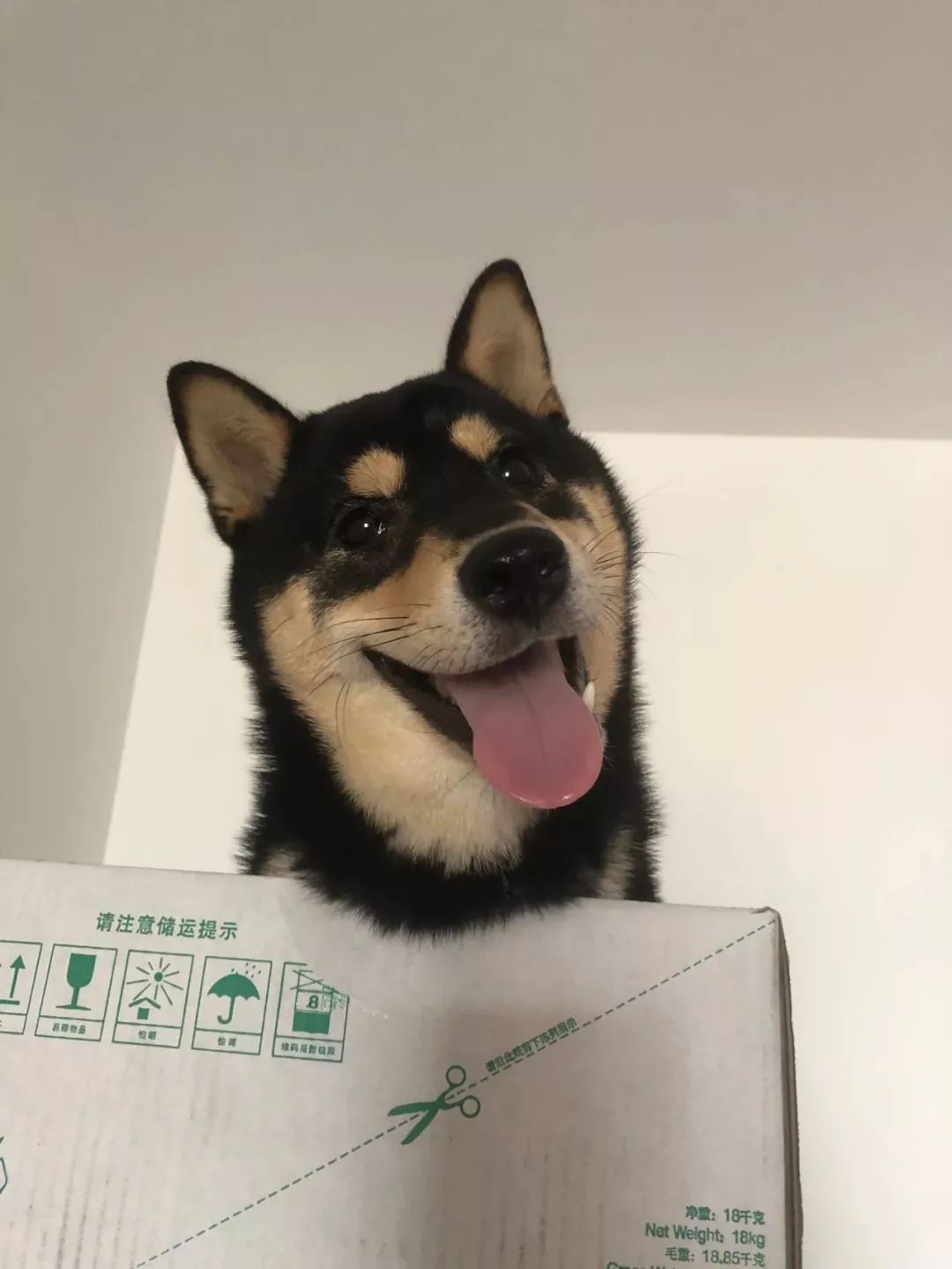 以婚恋为名骗财案例,闺蜜杀闺蜜案件视频解说