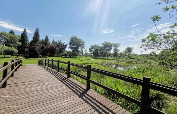 天府中央商务区楼盘,成都天府新区河畔新世界一期实景