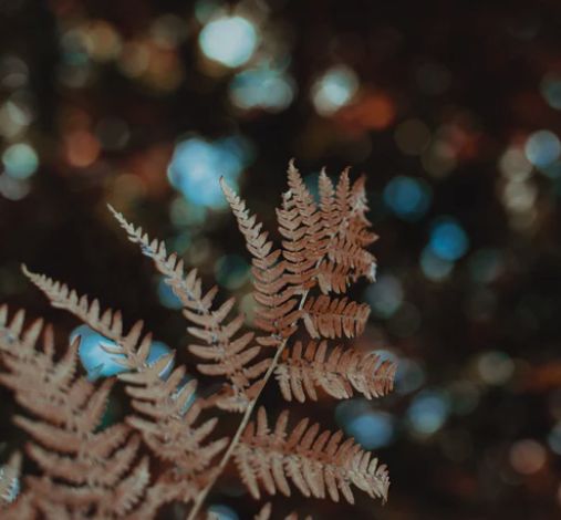 教育号公众号推荐,优质教育公众号推荐