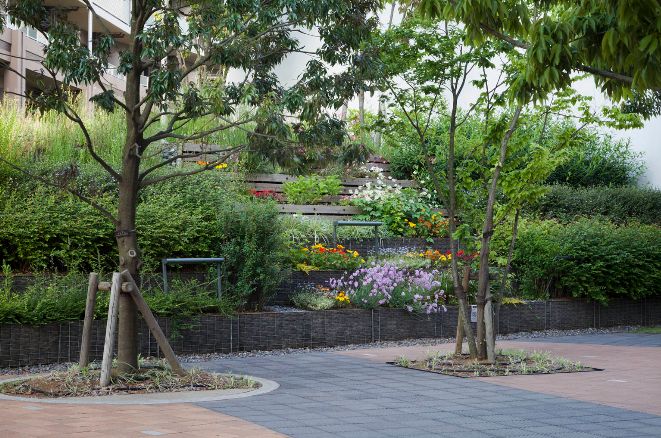 场地启发灵感“地尽其利”丨studioonsite事务所