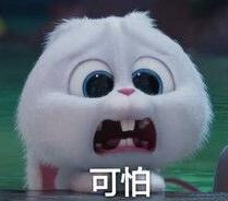 8名群众被黄蜂蜇致3人死亡5人受伤,广西人被黄蜂蜇死事件