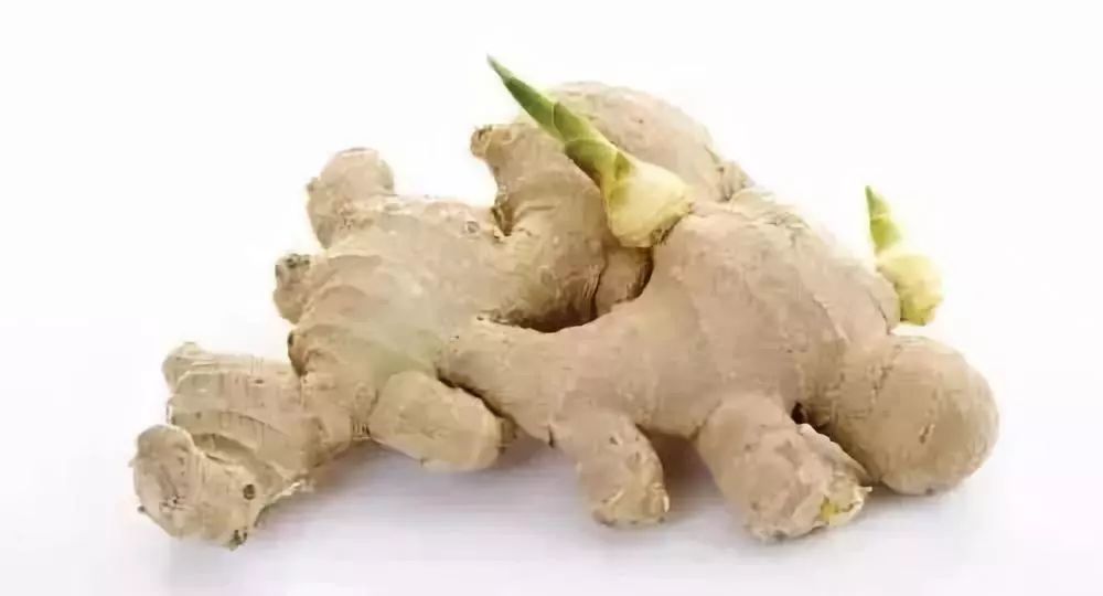 那些发芽的食物还能吃吗,发芽的食物不能吃一文告诉你真相