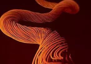 选对塑身衣让你身材无敌年龄成谜,身材管理塑身衣怎么穿教程