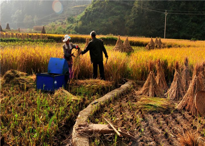 曹振华富源,富源金城路曹振华