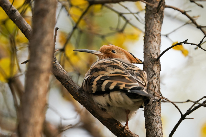 越用越流畅的手机实际体验,越用越快的手机