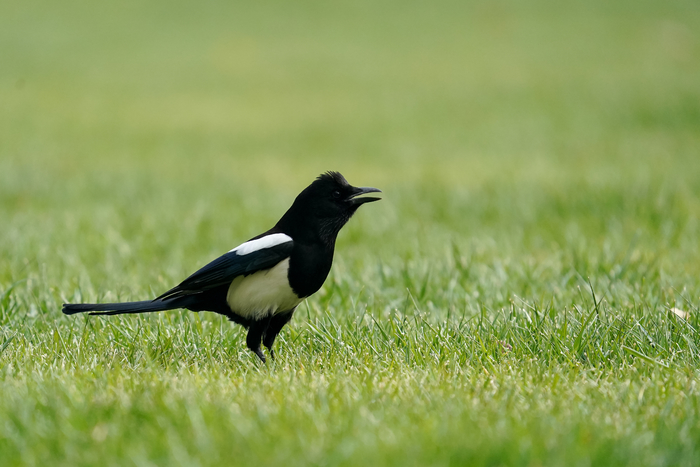 越用越流畅的手机实际体验,越用越快的手机