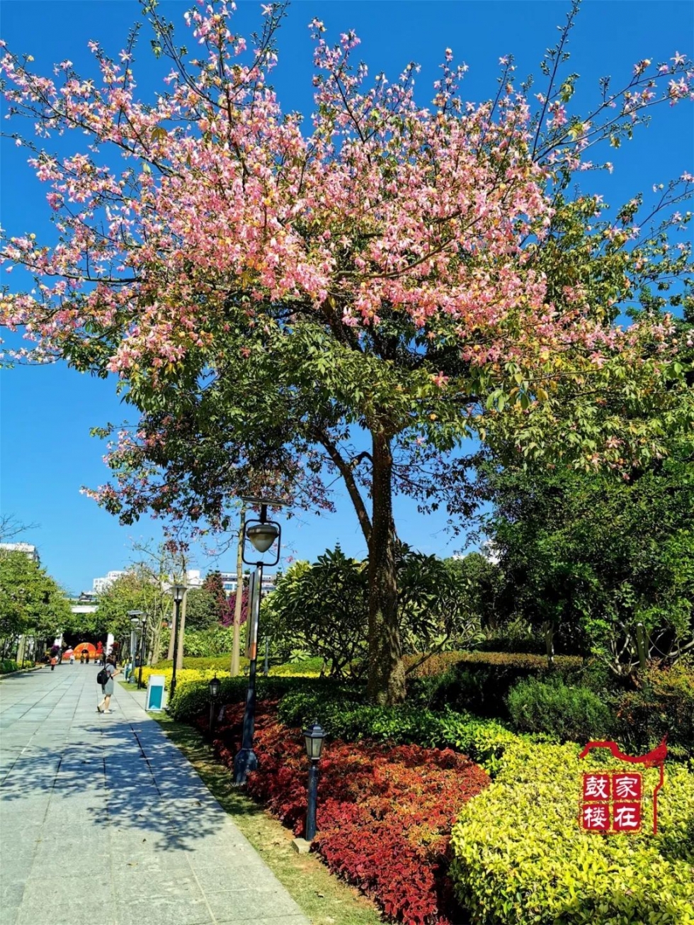 福州高新区最美公园,福州最有韵味的公园