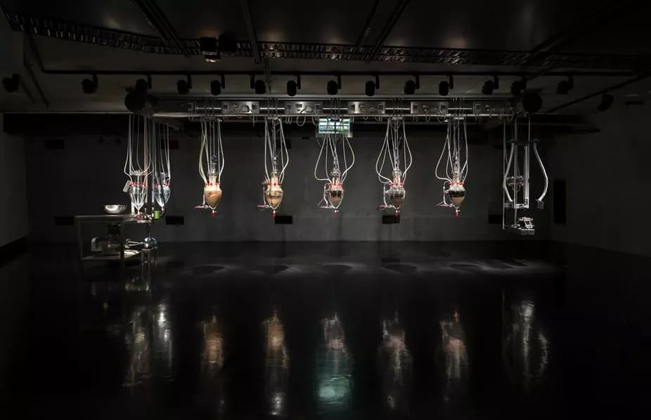 塔斯马尼亚古今艺术博物馆,塔斯马尼亚古今博物馆