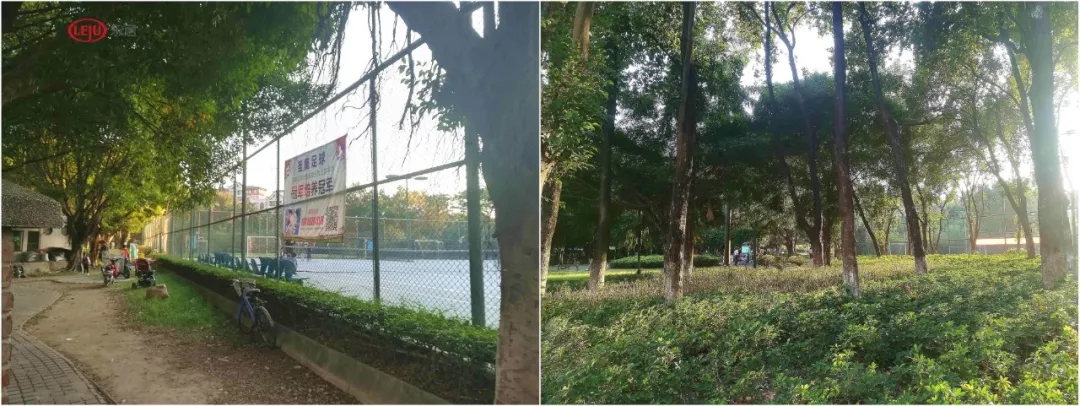 广州市番禺区最便宜的电梯房小区,不买老破小房