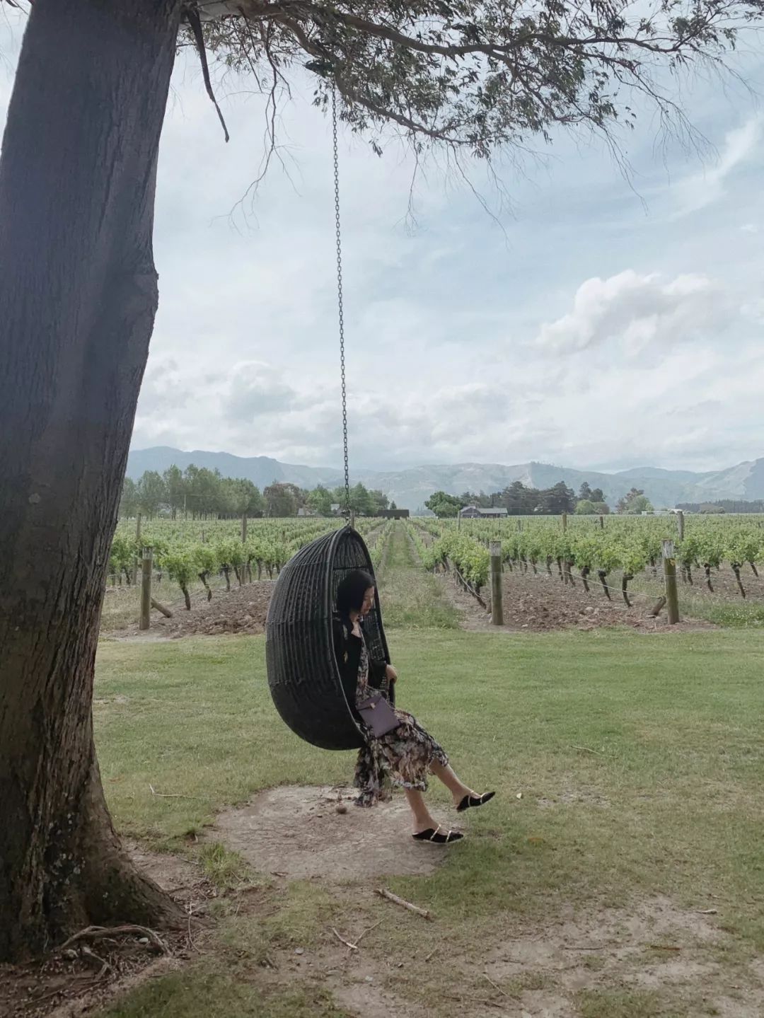 新西兰旅行的感受,新西兰旅游享受快乐每一天