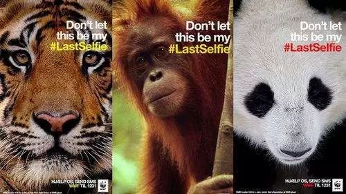 时尚圈已经开始动物保护了!我也不能掉队鸭