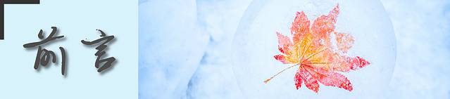 北海道冬季自由行游记,北海道情书