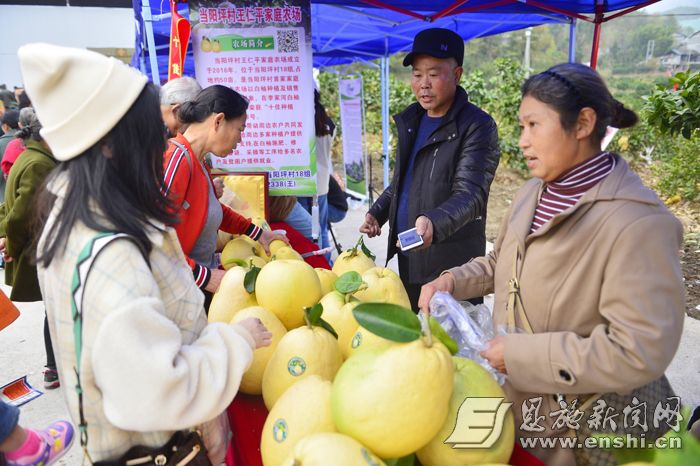 以柚子为名,以柚为名珐琅锅