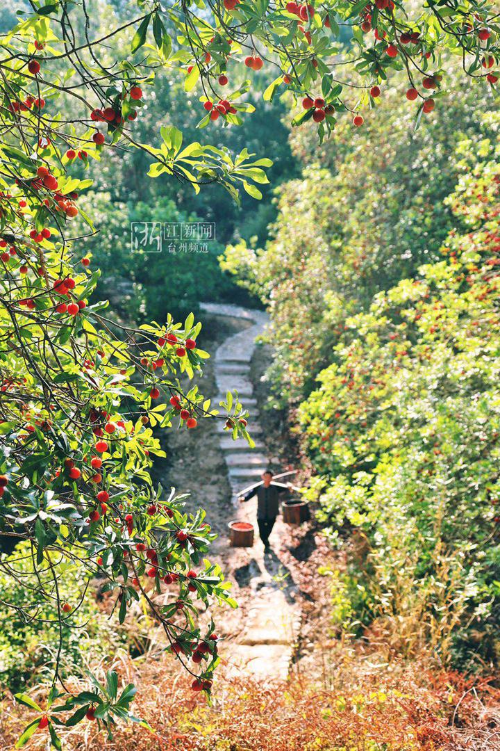 幸福四重奏视频,台州连续几年被评为最幸福城市