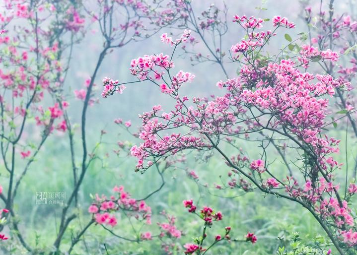 台州最具幸福感城市,幸福四重奏粤语