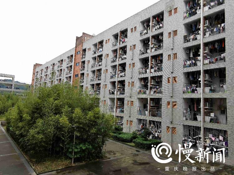 大学宿舍的环境卫生,大学宿舍卫生很重要吗