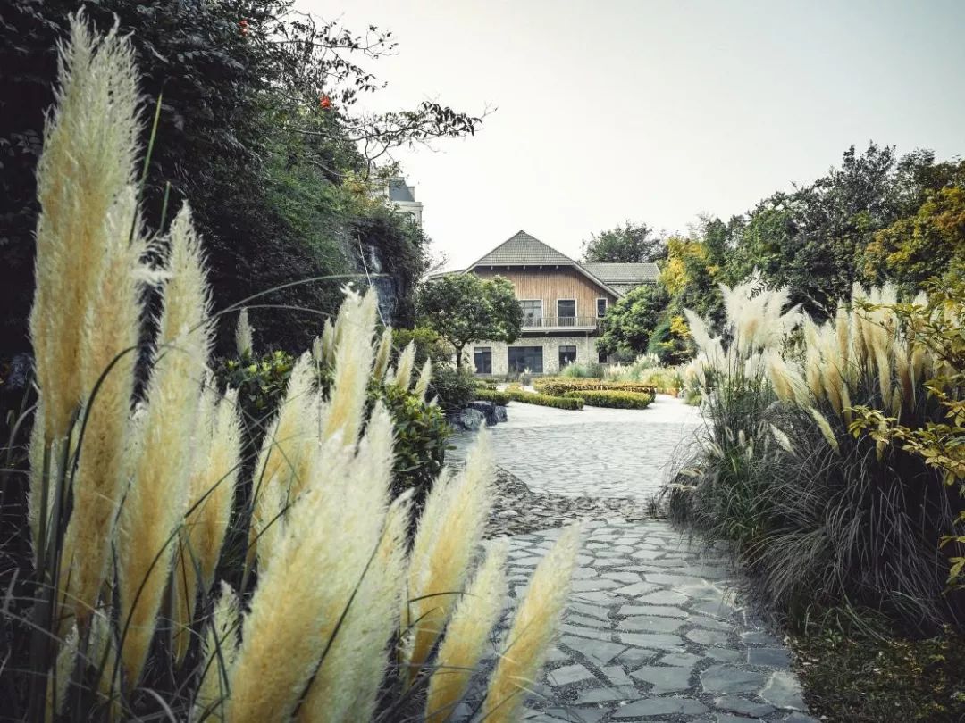 上海必打卡秋季美景,上海的秋季美景