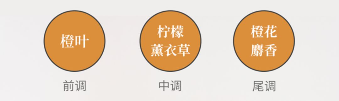 又美又好用的小众洗护,藏着你对生活的细腻追求