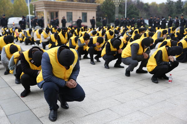 跟着大师炒股,炒黄金诈骗案两年了未破案