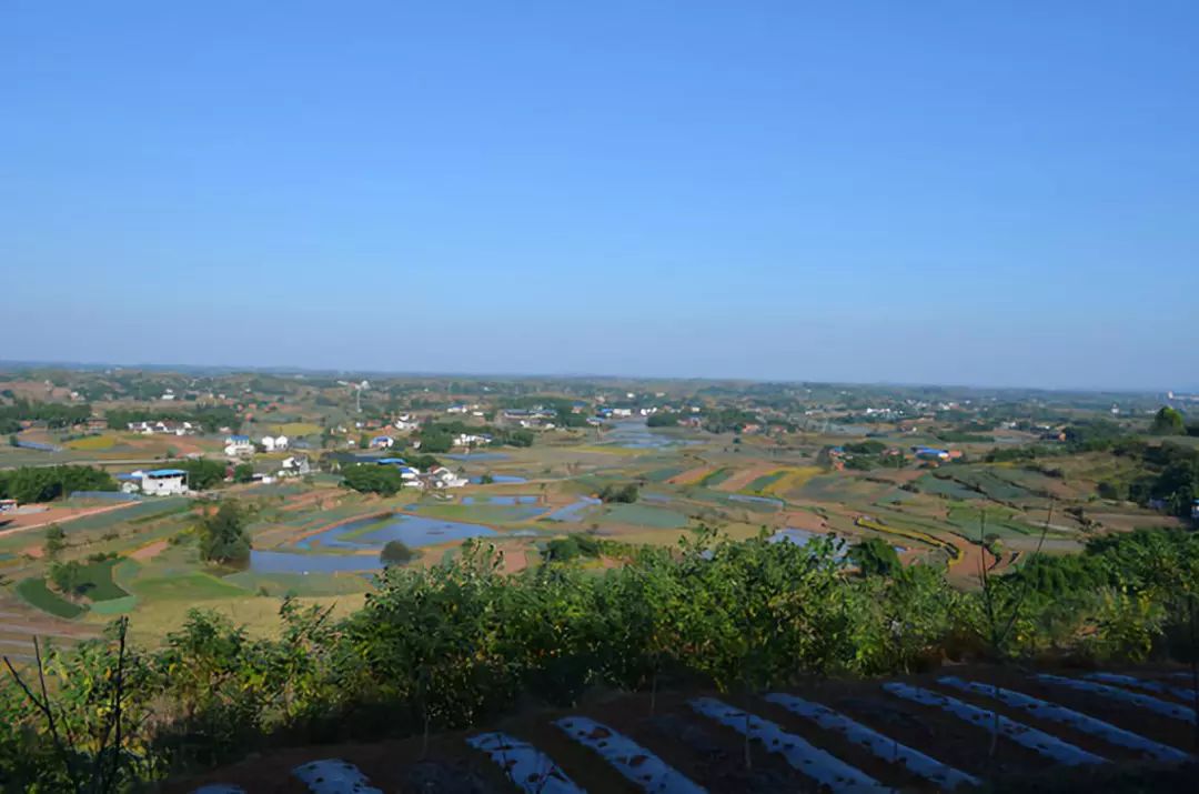 比亚迪速锐发动机噪音大怎么回事,买比亚迪速锐十大忠告