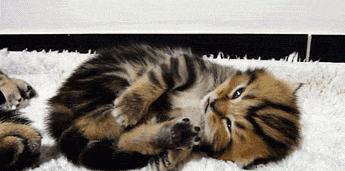 缺钙抽筋的原因及解决方法,缺钙引起的健康问题