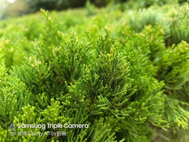 中端机还能如此漂亮三星GalaxyA70s评测：最轻薄的6400万三摄之作