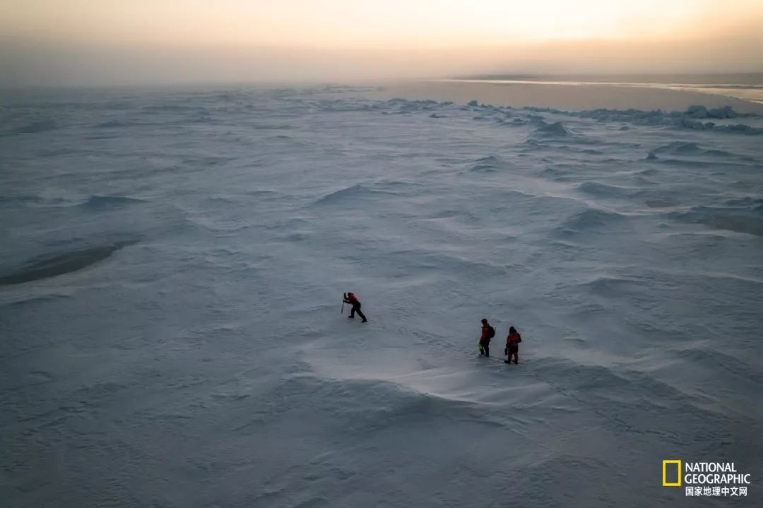 外星生物会长什么样子,外星生物真的存在吗