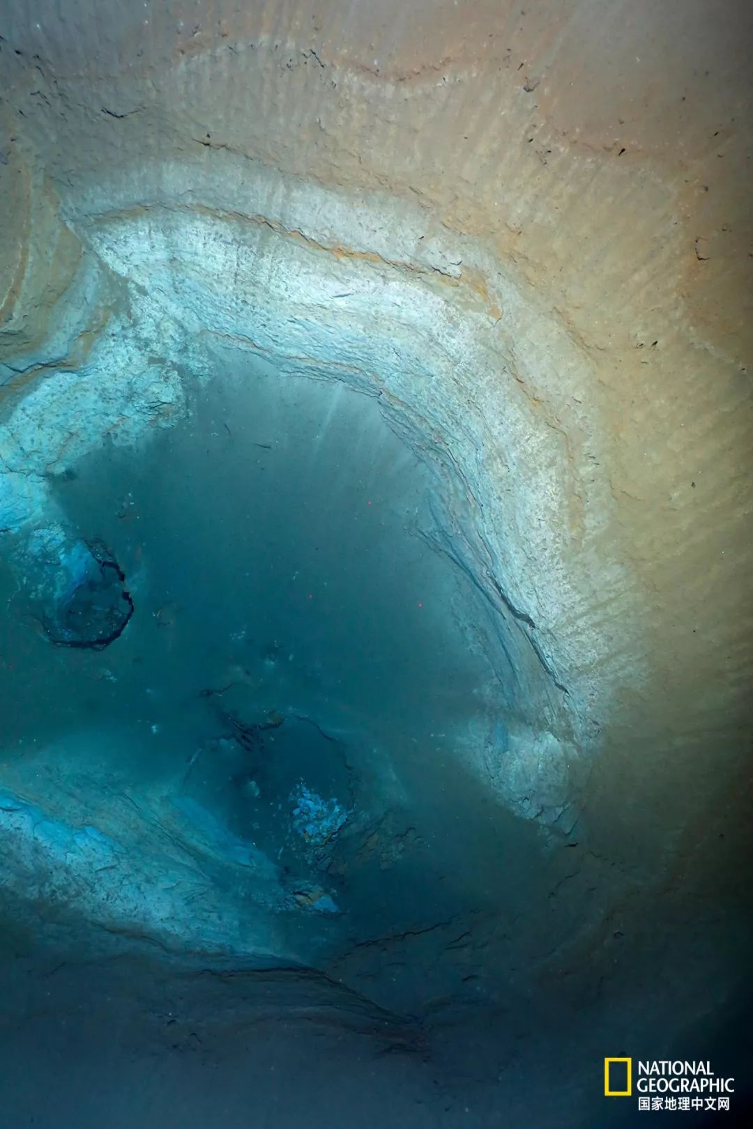 外星生物会长什么样子,外星生物真的存在吗