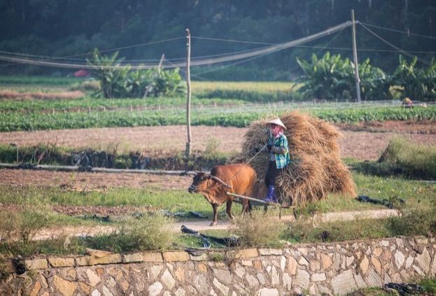 厦门地铁最新消息今天,厦门地铁3号线最新进展来啦