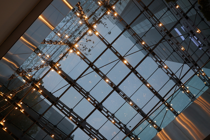 腾龙24mmf2.8定焦镜头视频测试,腾龙最新e卡口镜头