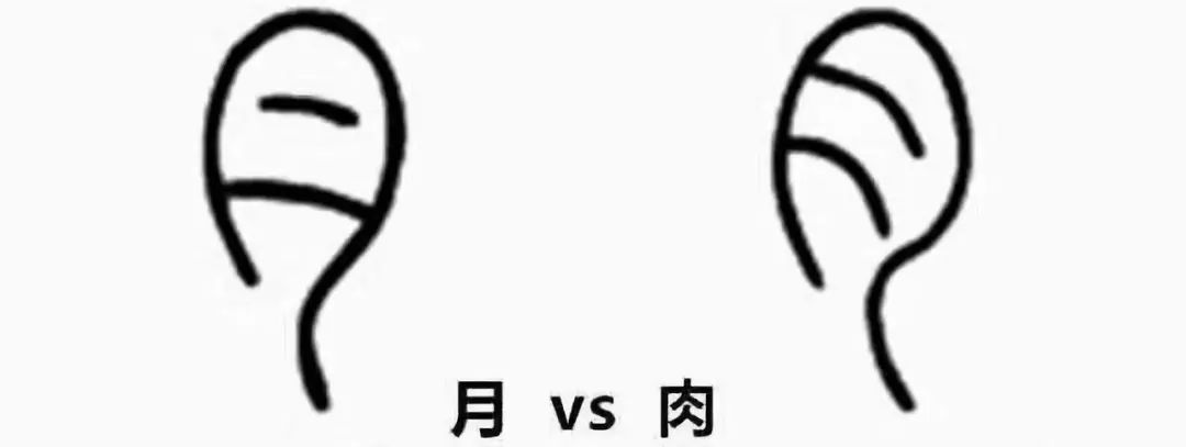 不务正业科学家,不务正业的科学家