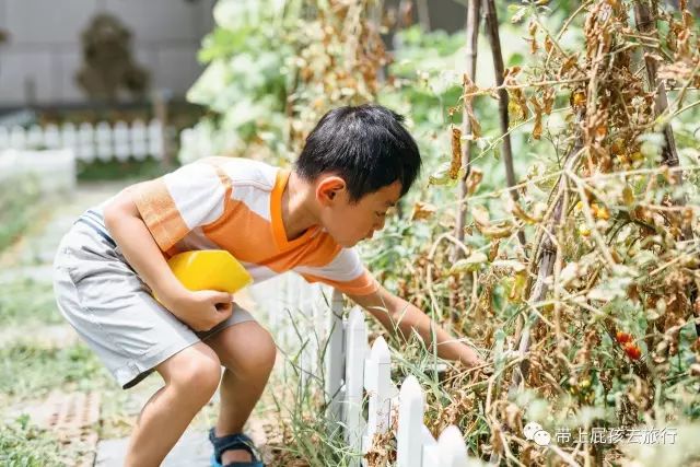 500不到全家住原佘山艾美，居然！周末元旦春节还是不加价
