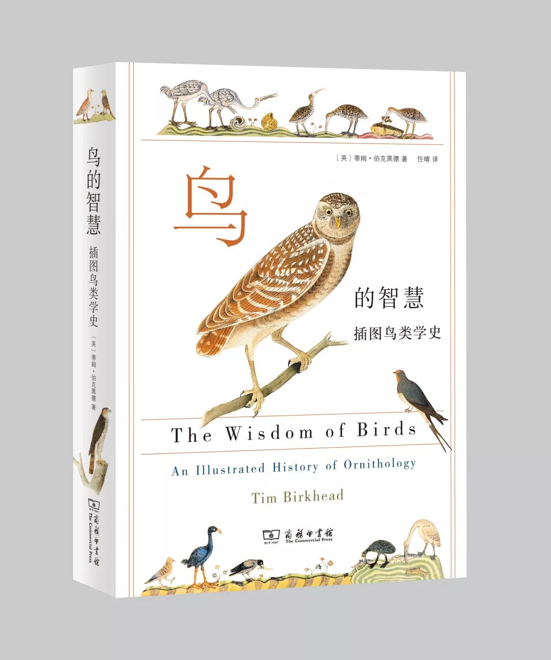 这也许是最好买的一场劲草嘉年华……