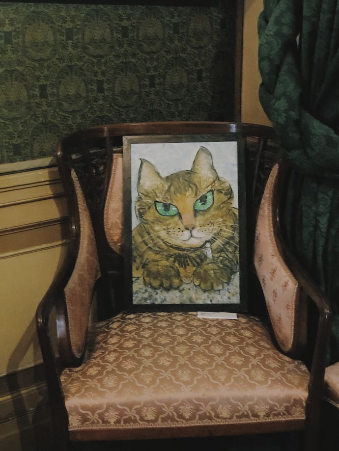 各种猫咪的博物馆,猫咪博物馆都有哪些猫