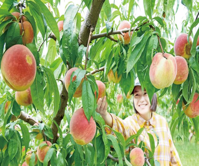 住哪里可以感受洛阳的繁华,洛阳哪个地方最适合居住