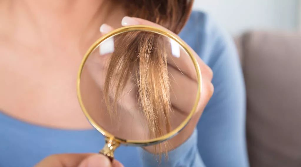 头发分叉干枯毛躁的照片,修复头发干枯毛躁分叉的发膜