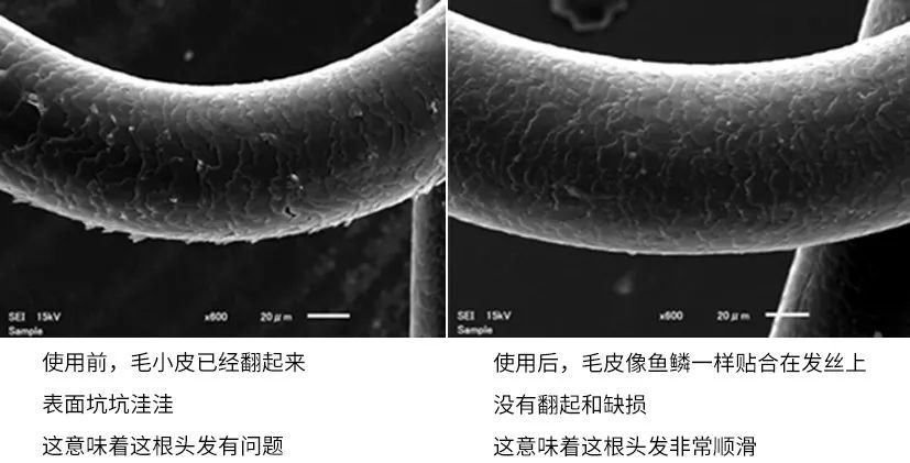 头发分叉干枯毛躁的照片,修复头发干枯毛躁分叉的发膜