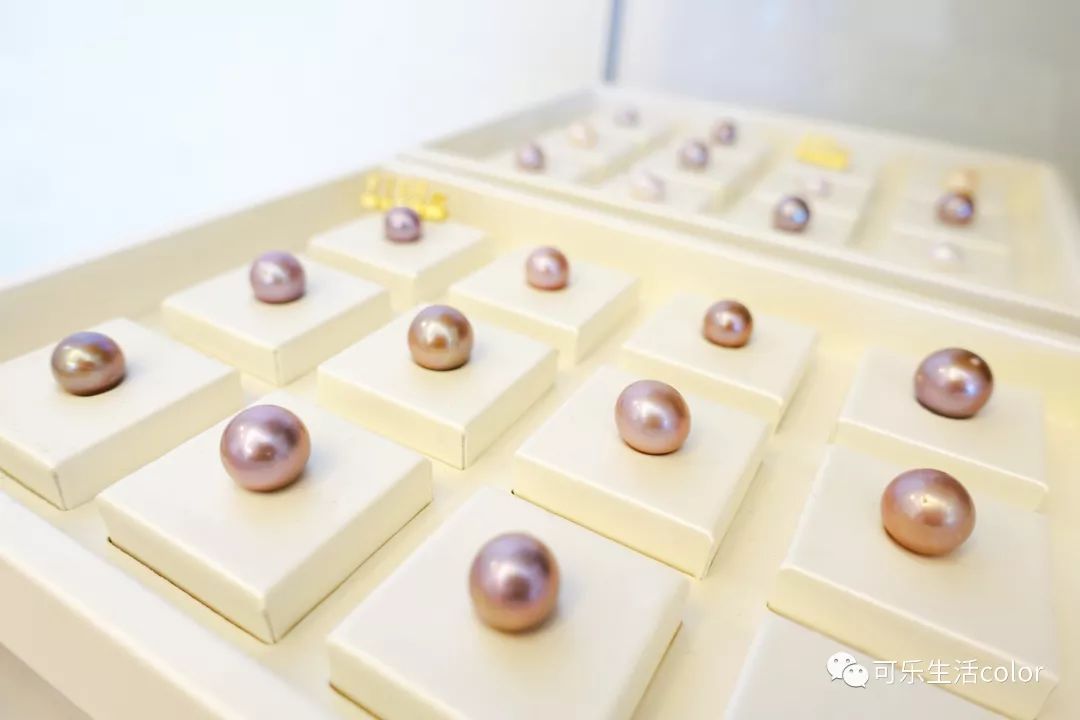 鲜活蚌珍珠探店,珍蚌开蚌珍珠diy体验馆从化