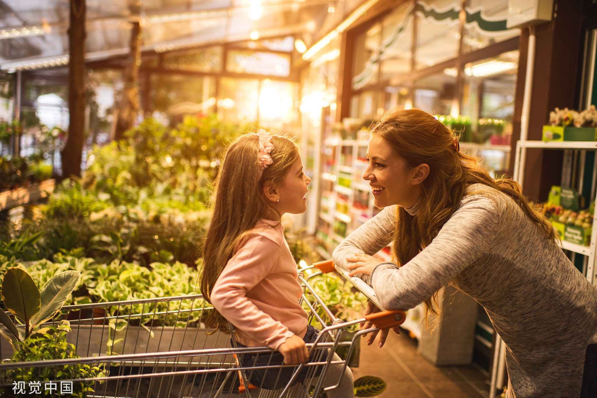 妤氭兜鐭ヤ箮,妤氭兜涓撴爮