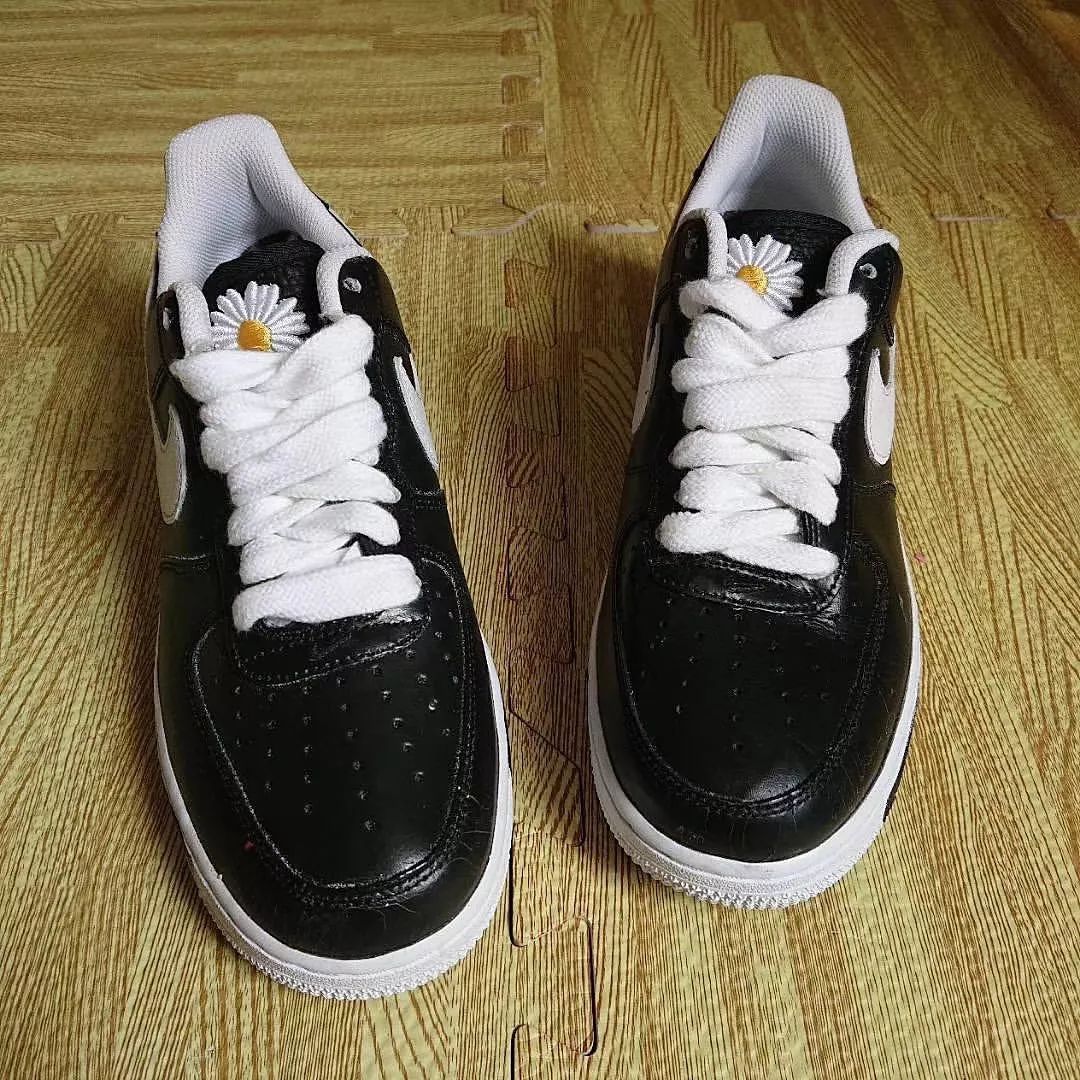 权志龙喜欢的雏菊是什么雏菊,权志龙的小雏菊为什么少一半