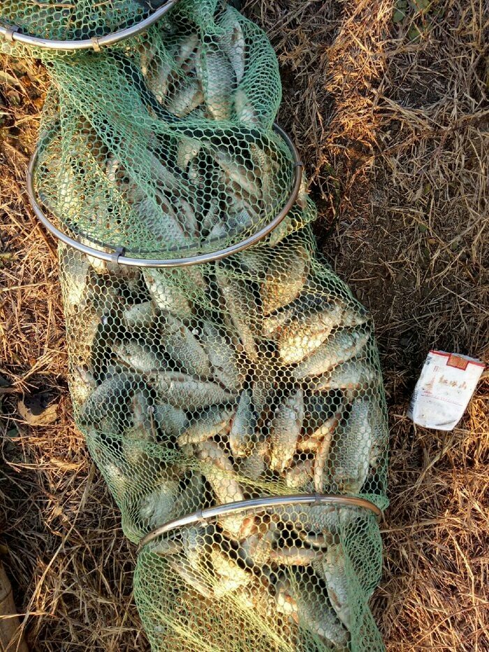 野钓装备饵料,野钓装备有哪些